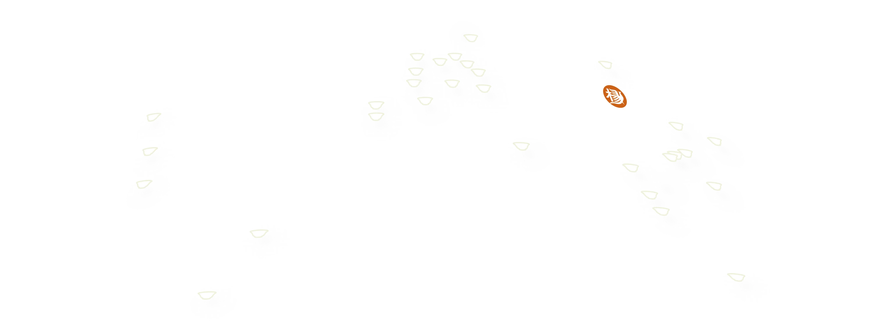 YANGGUOFU Global Footprint